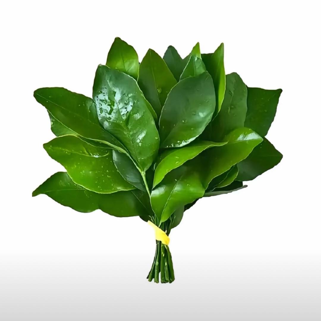 愿喜🌷