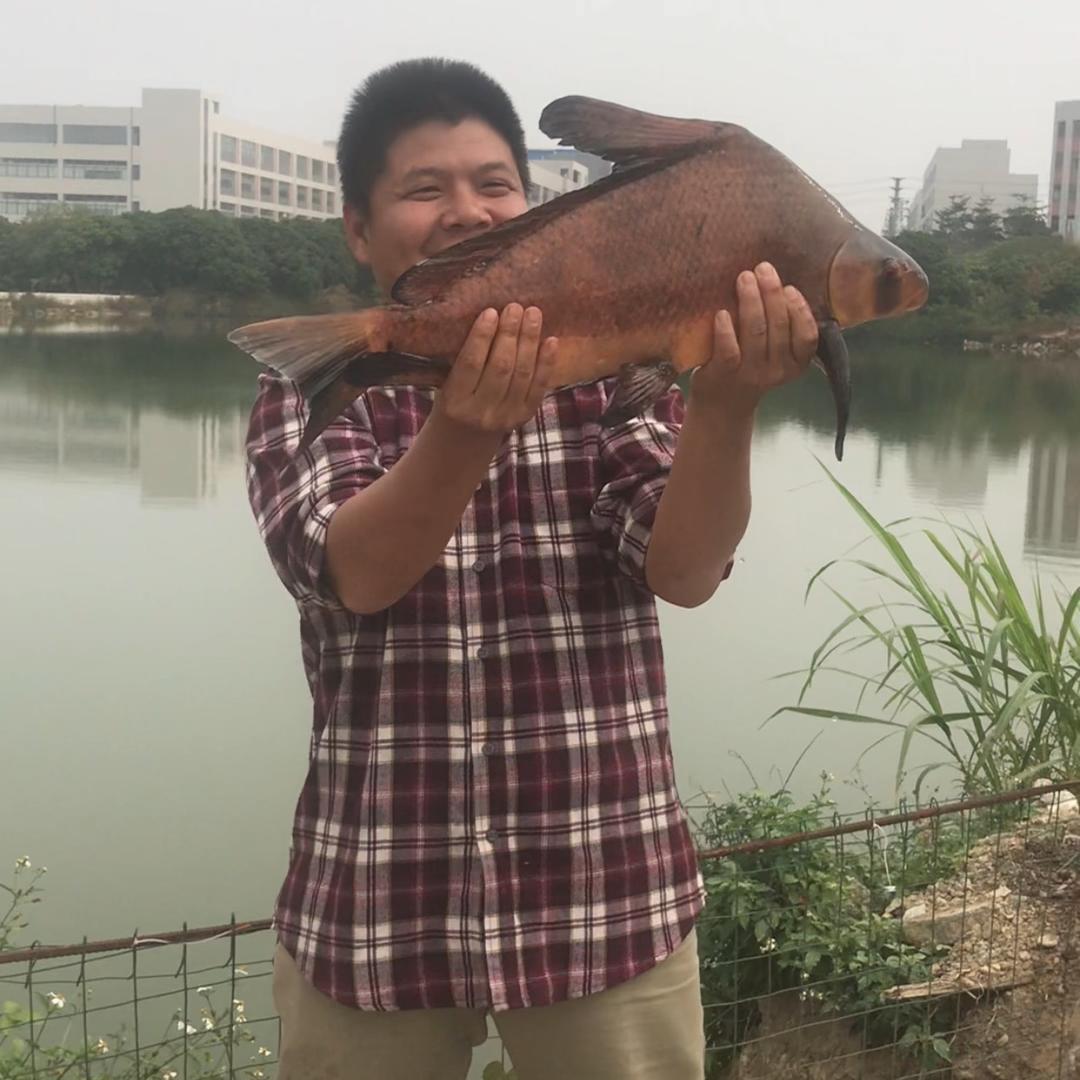 钓傲江河农庄官方号