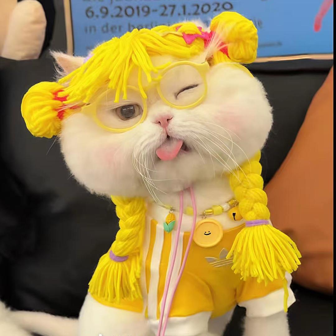 下滑也是滑