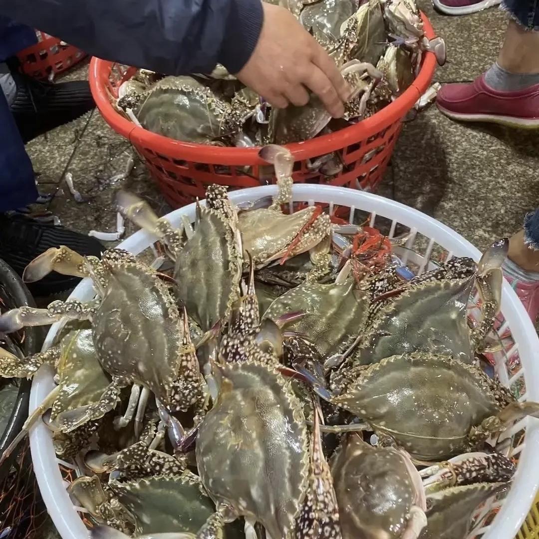 舟山小媳妇精品海鲜