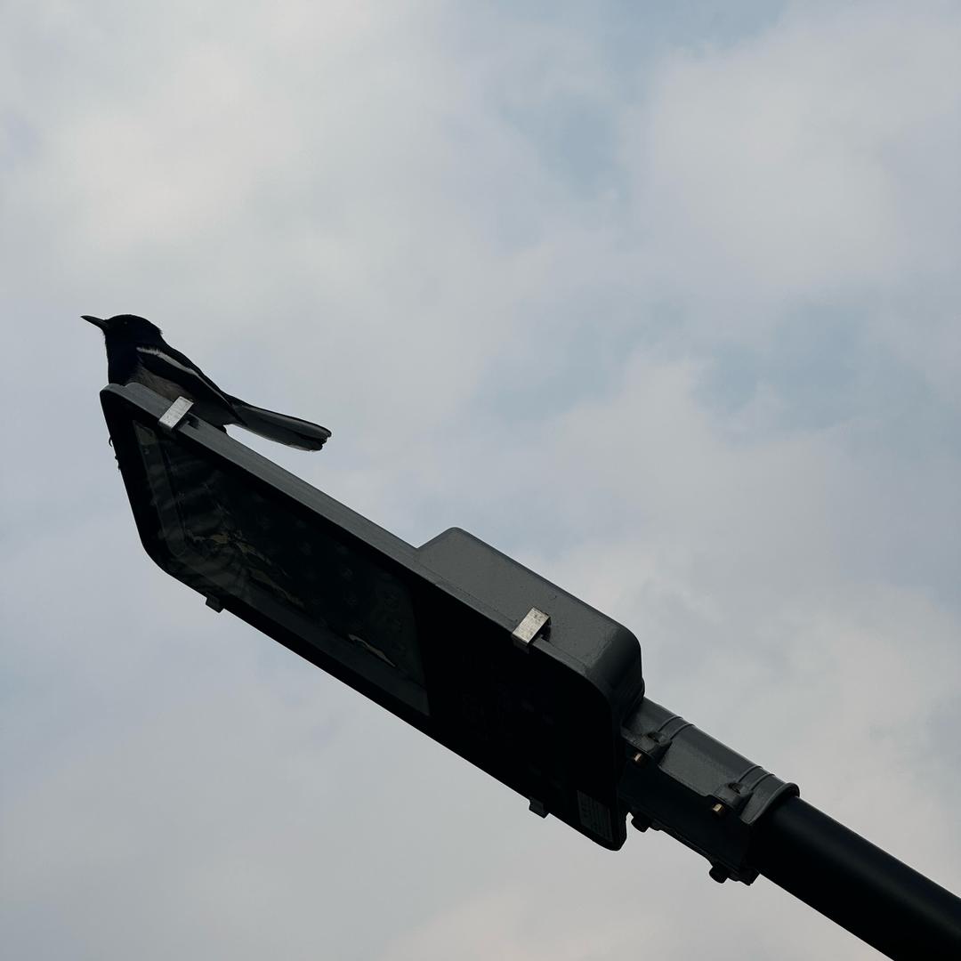 这是当时的照片