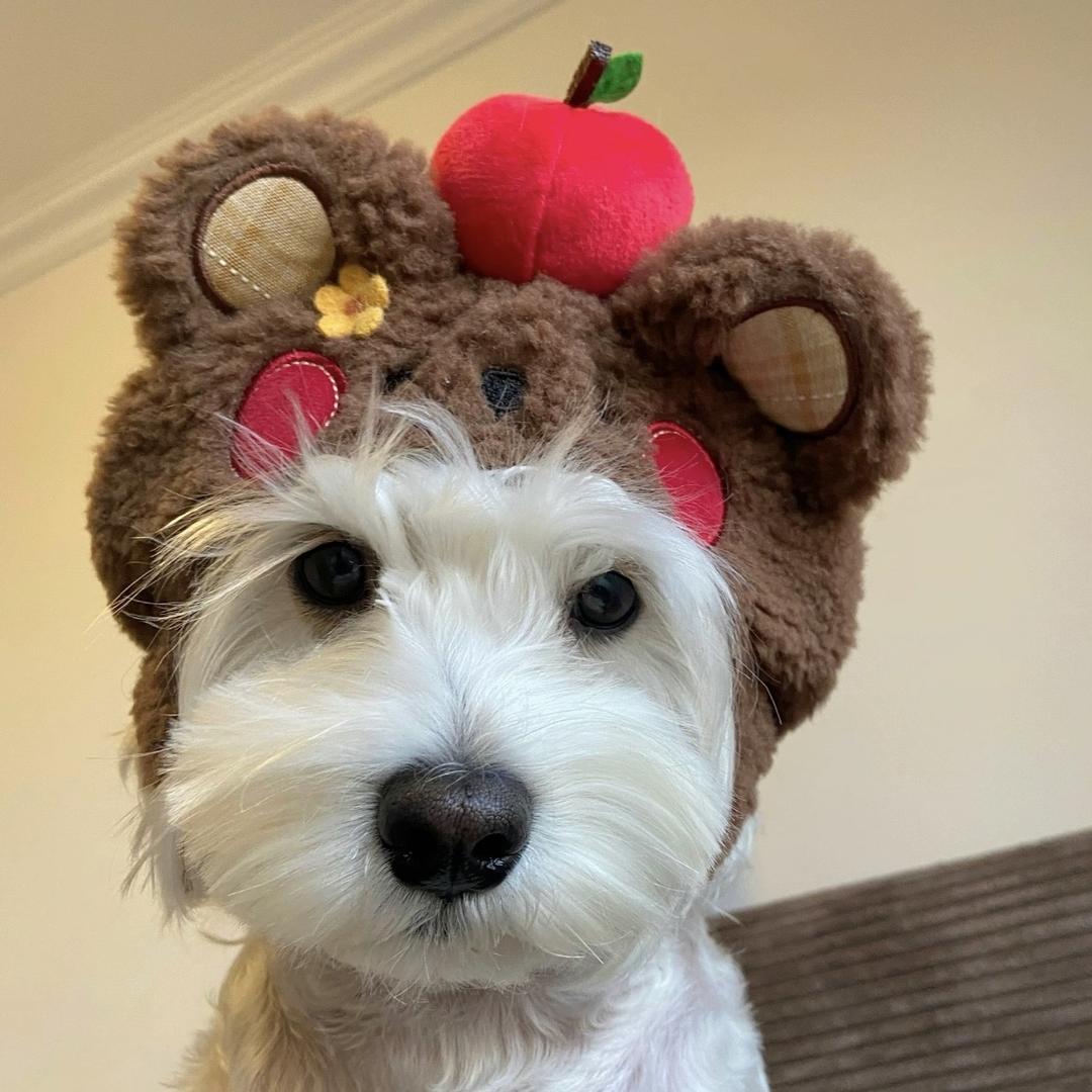 蛋挞蛋挞🥧·⁷⁰⁰🥷