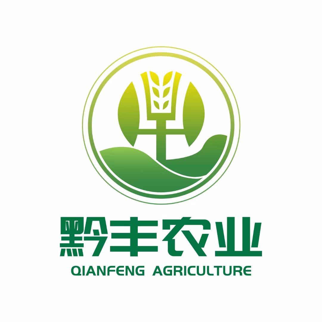 黔丰生态草莓园