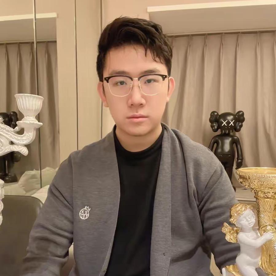狮子咨询速维诚