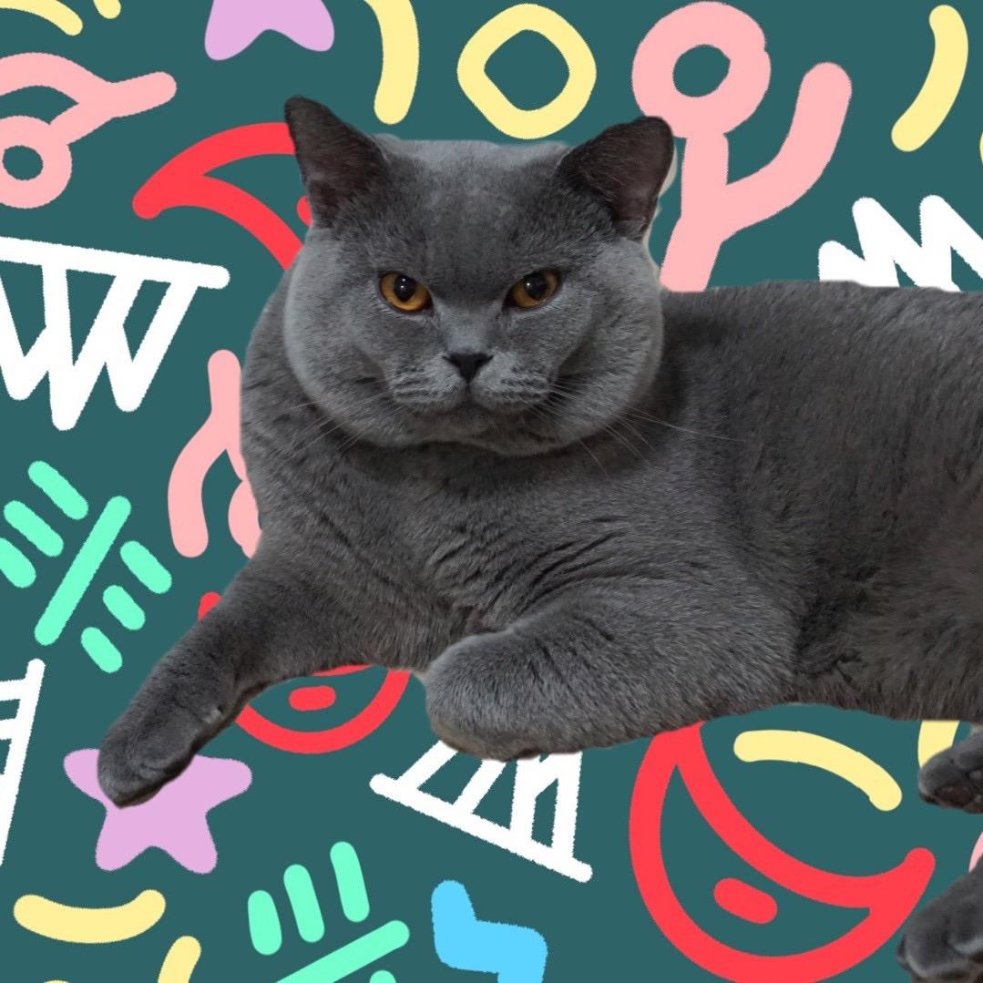 不要和陌生人说话