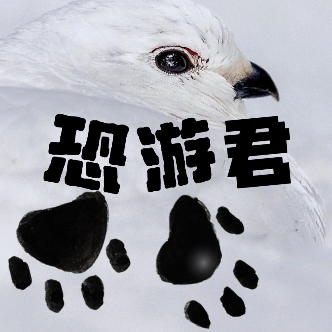KB游戏君