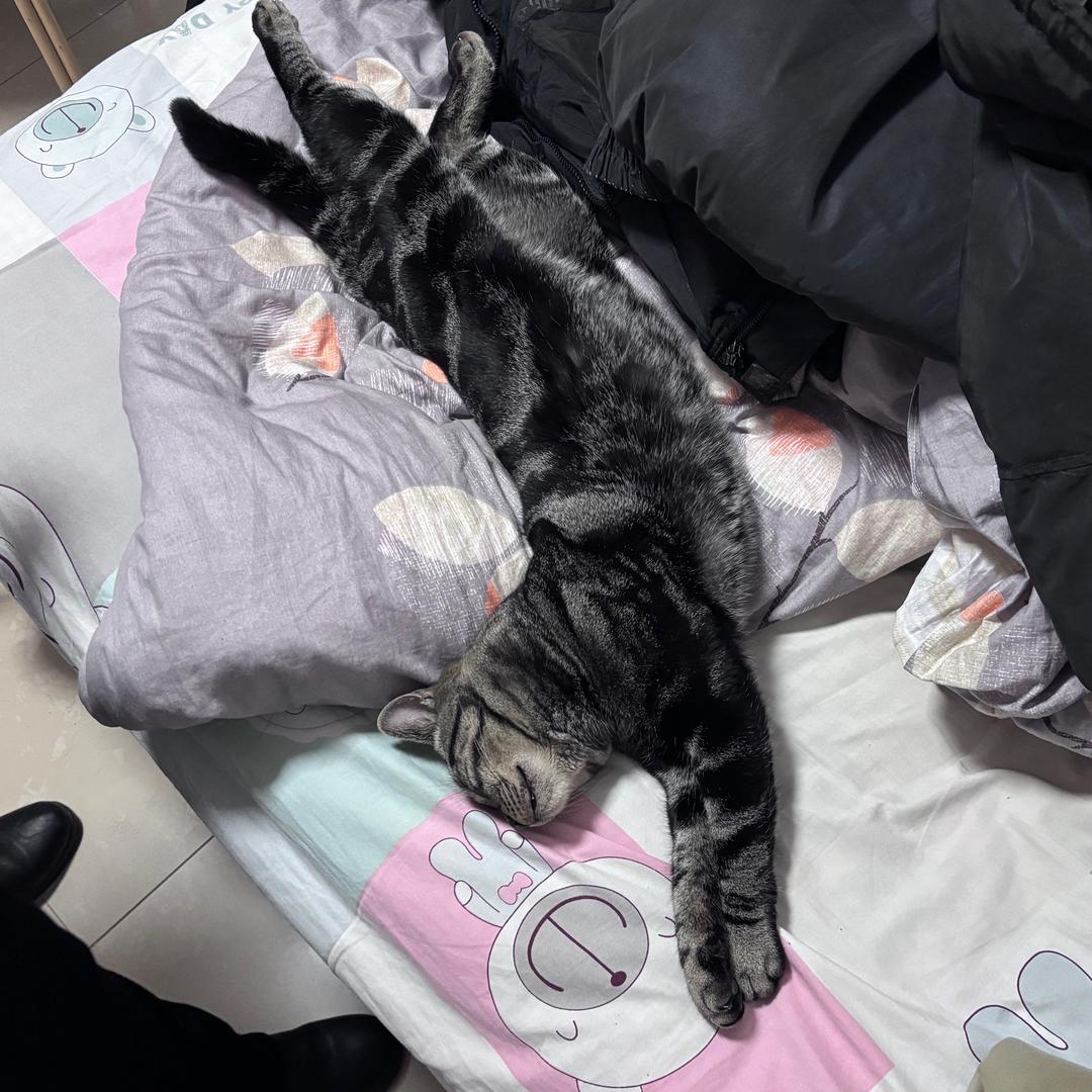 歧