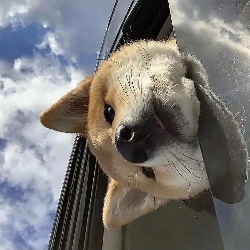 喜柚·美发工作室