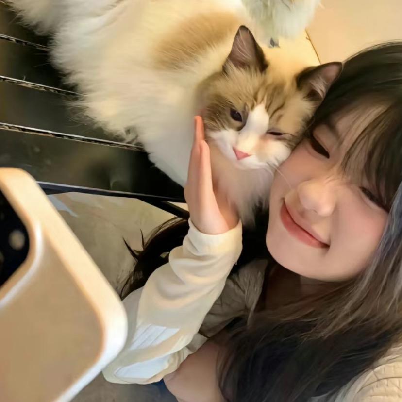 掉水里的西瓜🍉