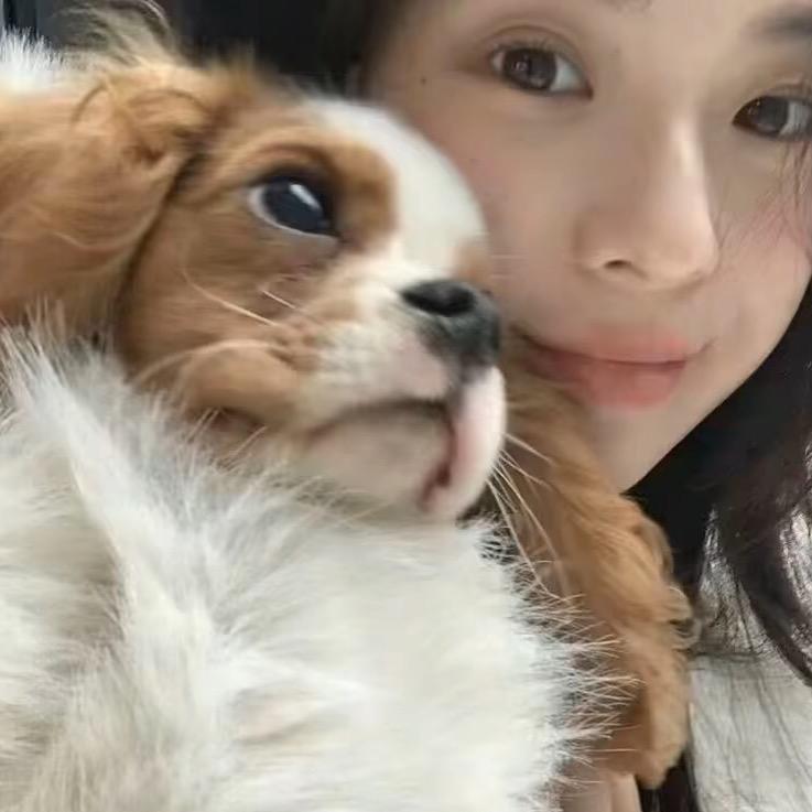 🐽（借钱拉黑）