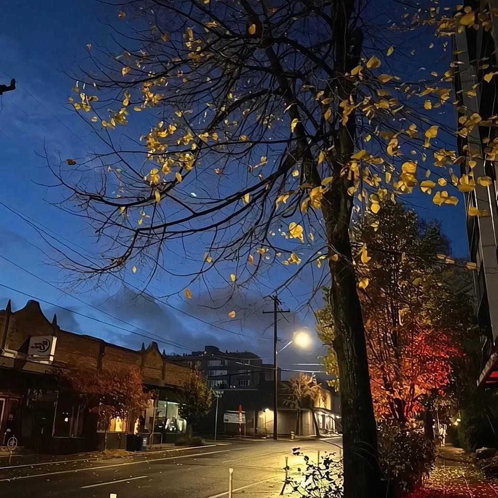 日月摘星辰🌤️