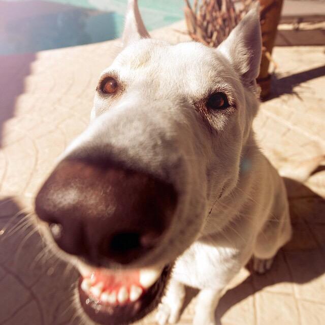 呆呆的抠脚大汉