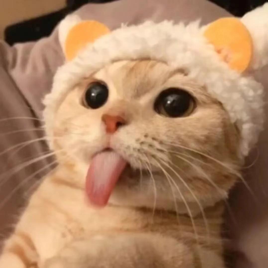 小九