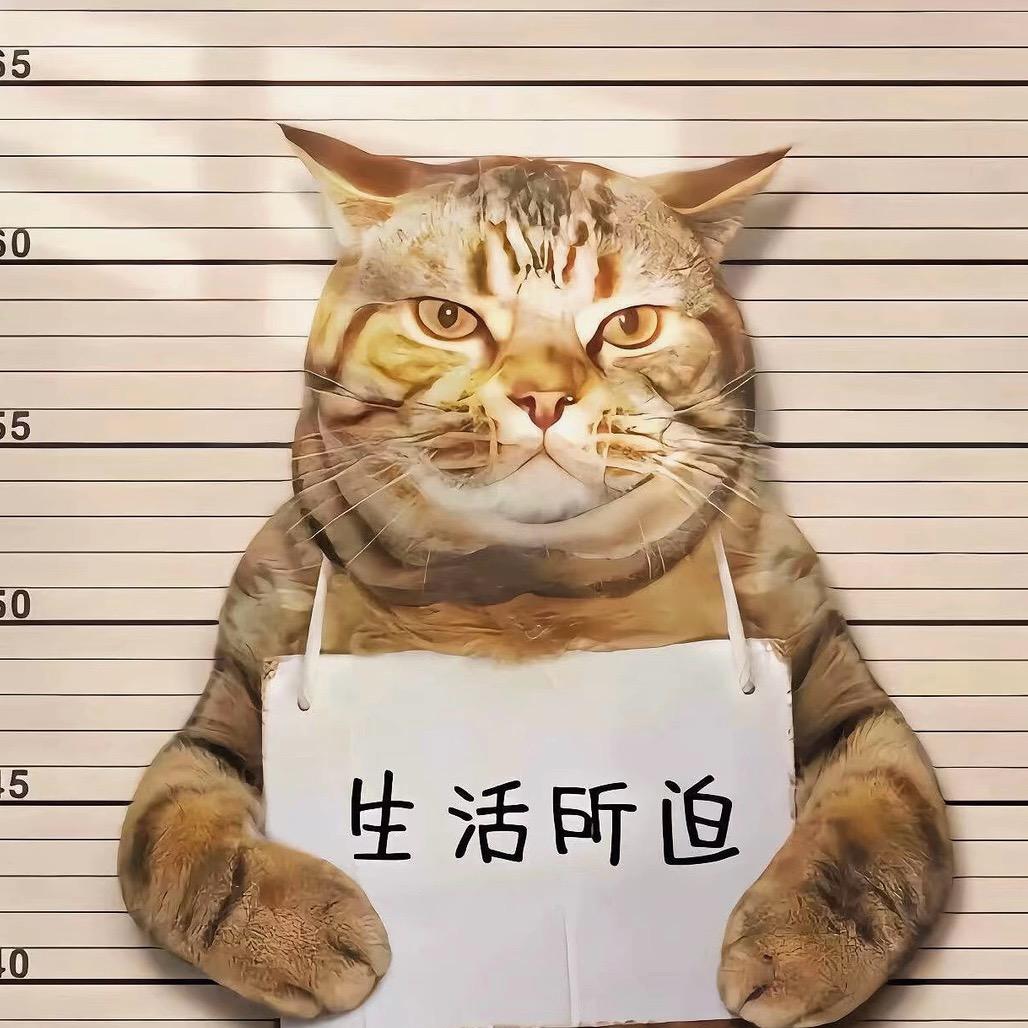 腾龙驾校-小马哥