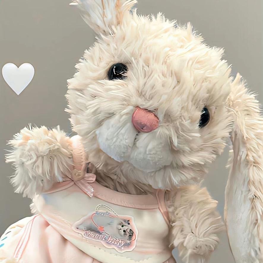 五儿姐姐🐰