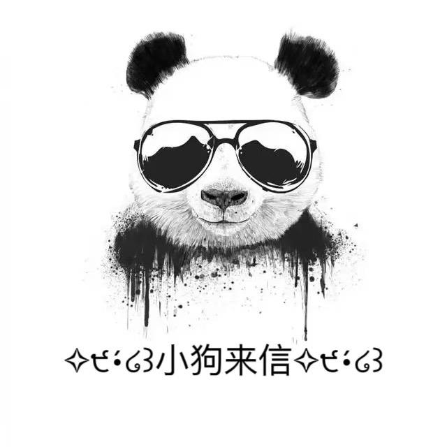 笑乐萌宠（洛阳柴犬主营）