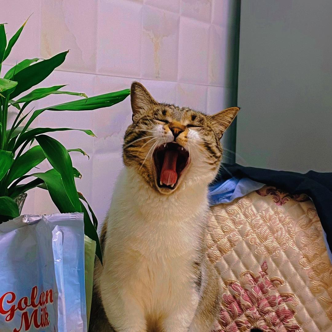 孙千万
