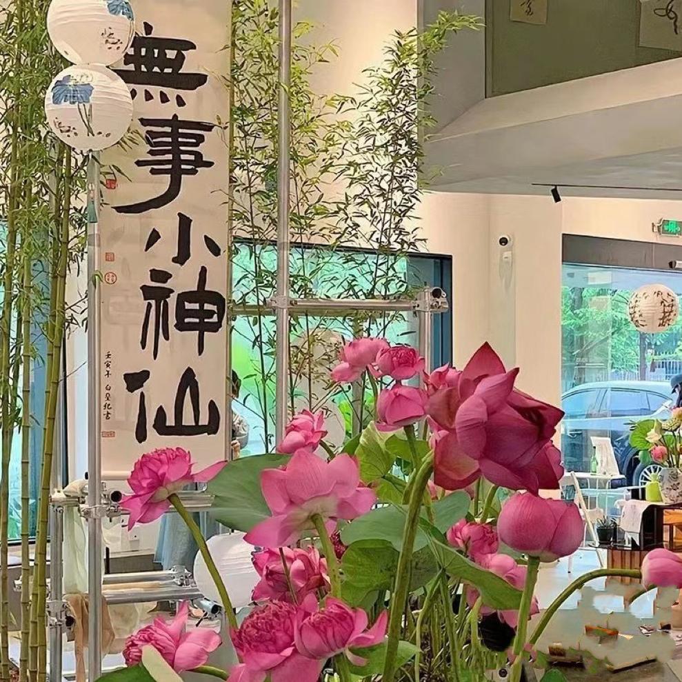 南京舒展企业管理