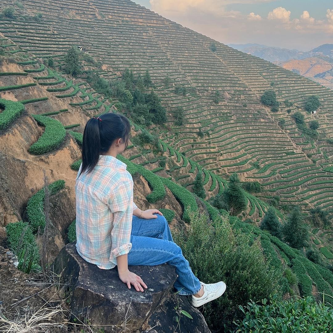 @感德元斗茶叶店