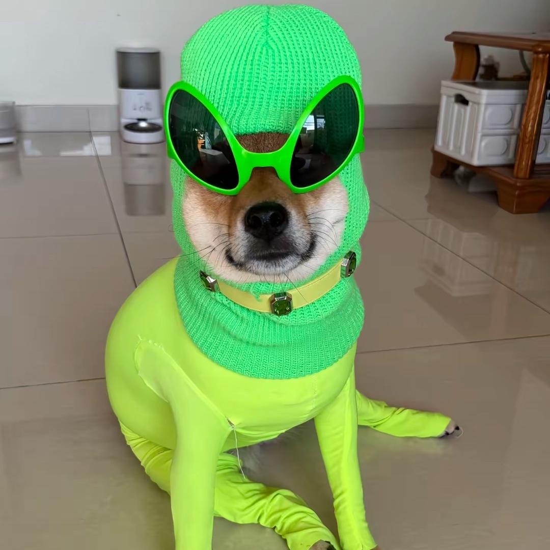 Qi