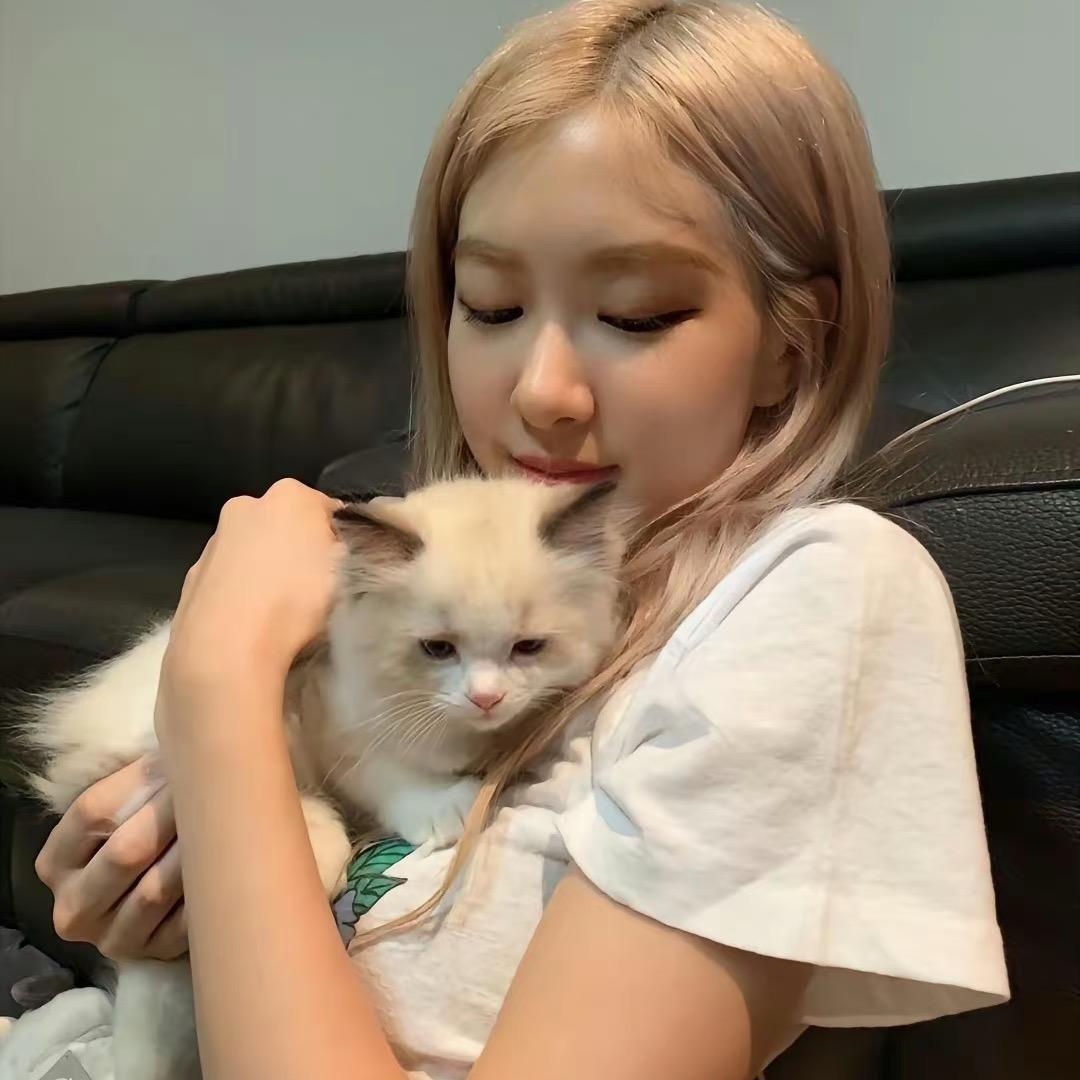 杨贵妃^