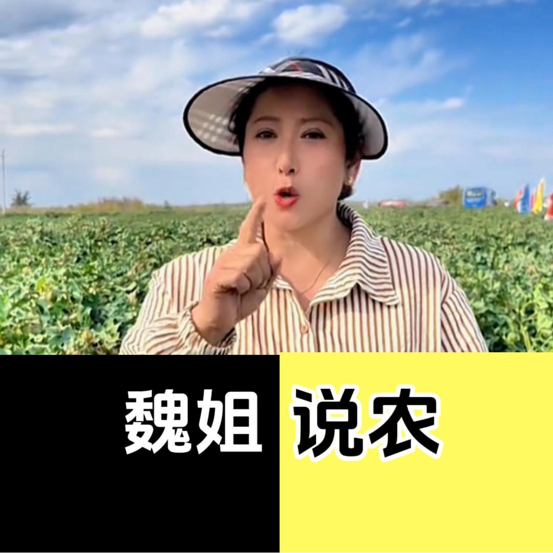 魏姐~134团丰禾源农资超市