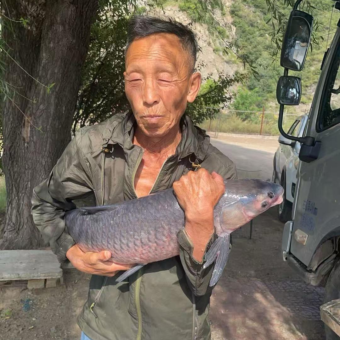 抚顺搏鱼野钓场