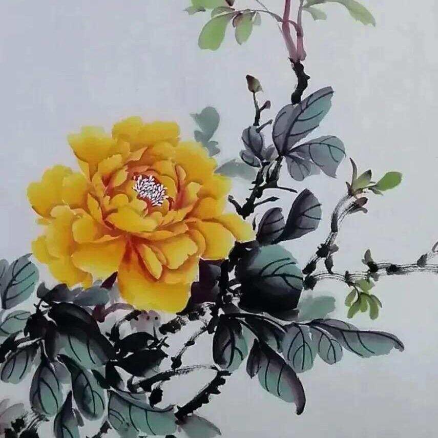 牡丹花开