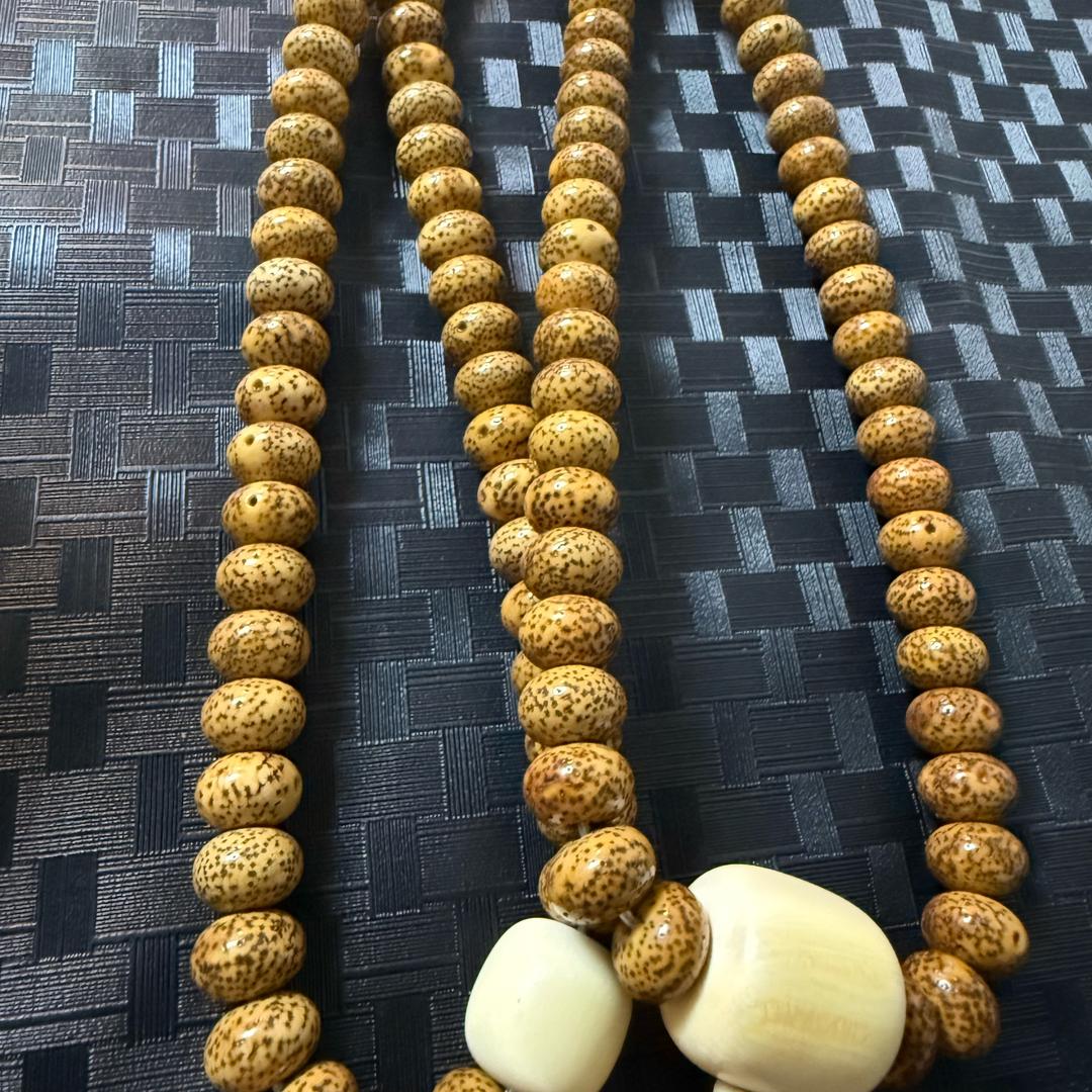 林子（代磨星月）