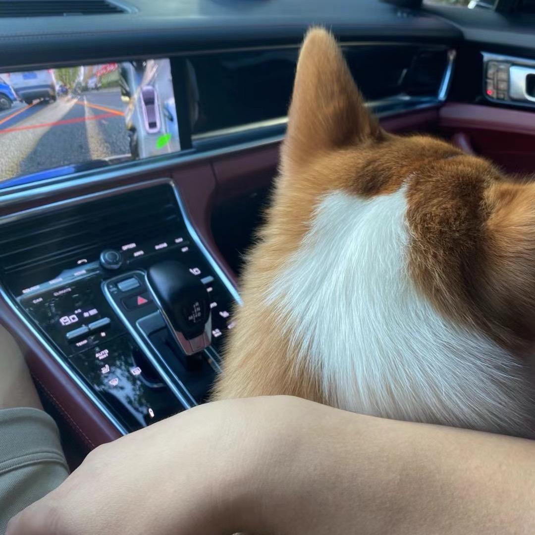TK晨熙