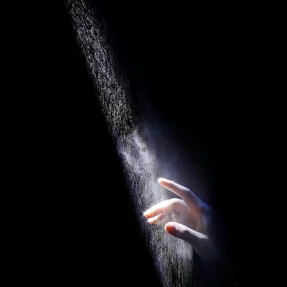 蓝桉