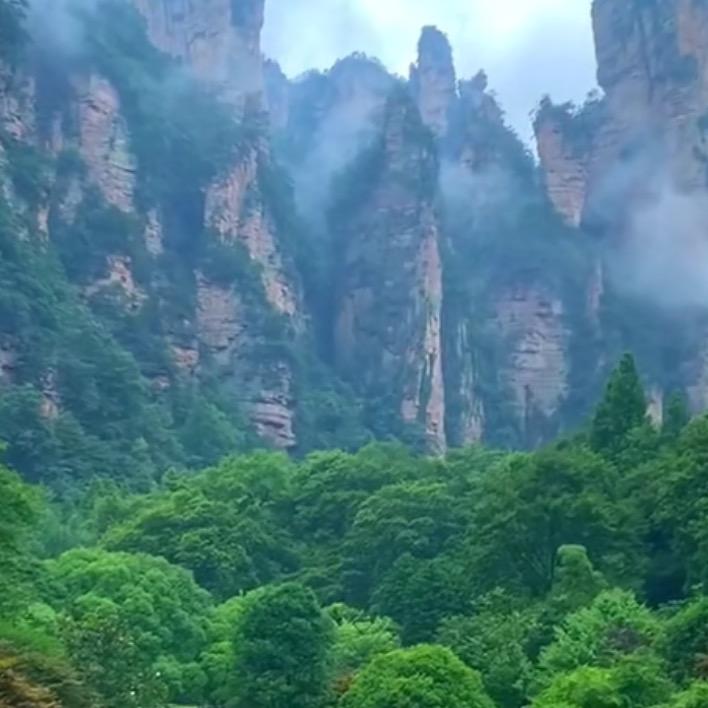 小七哥
