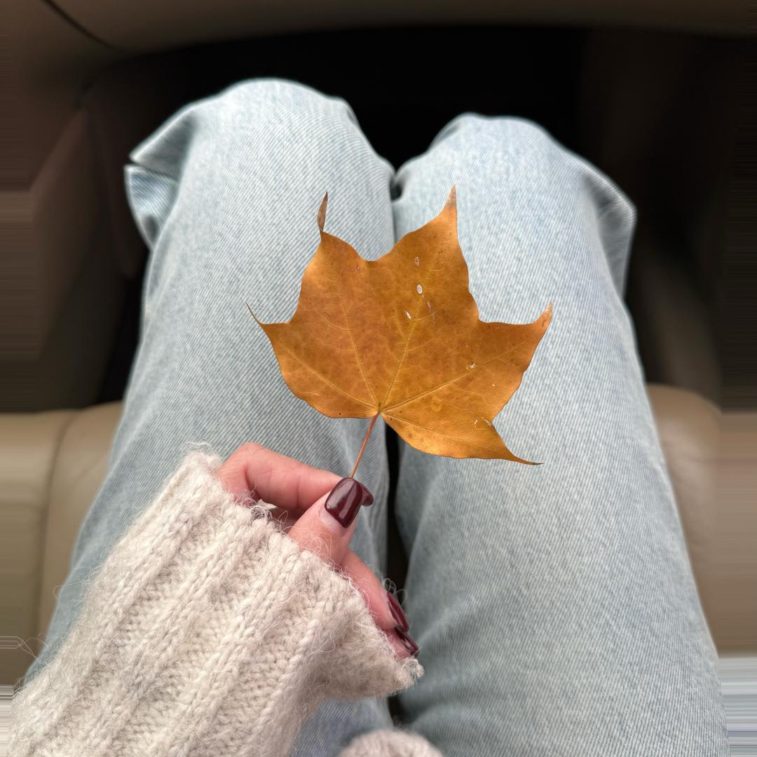 飞飞小姨