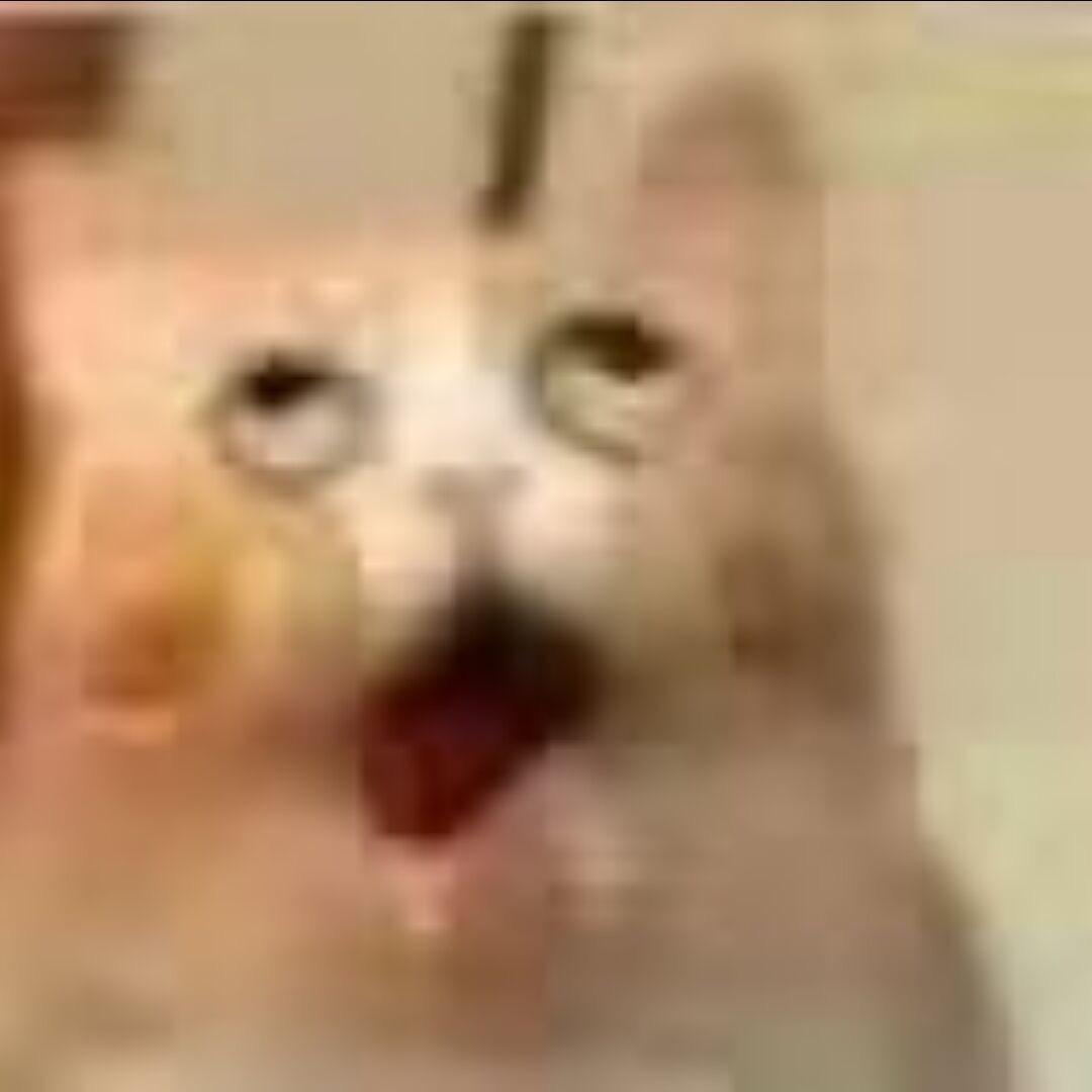 忧郁小🍟