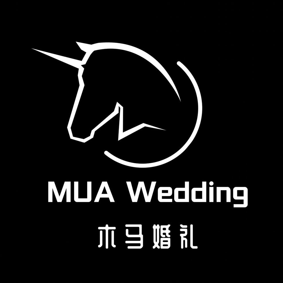 重生之我在吉首做婚庆·木马婚礼