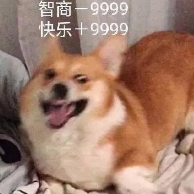 皮皮