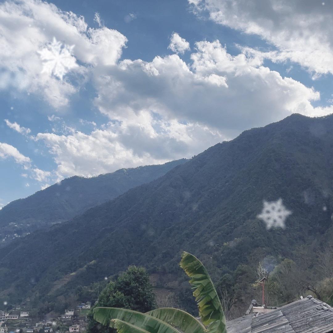 山间秘境小红花