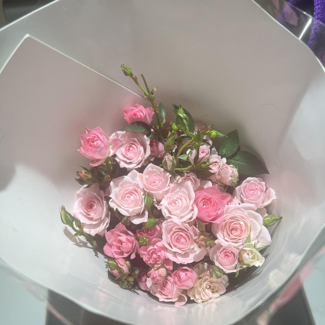 花仙子好物分享