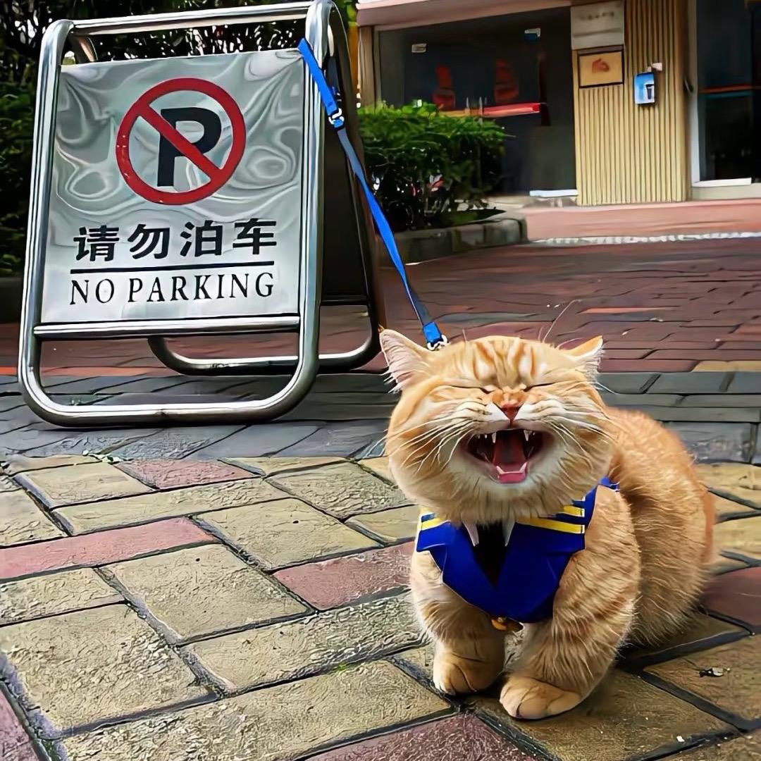 百態.