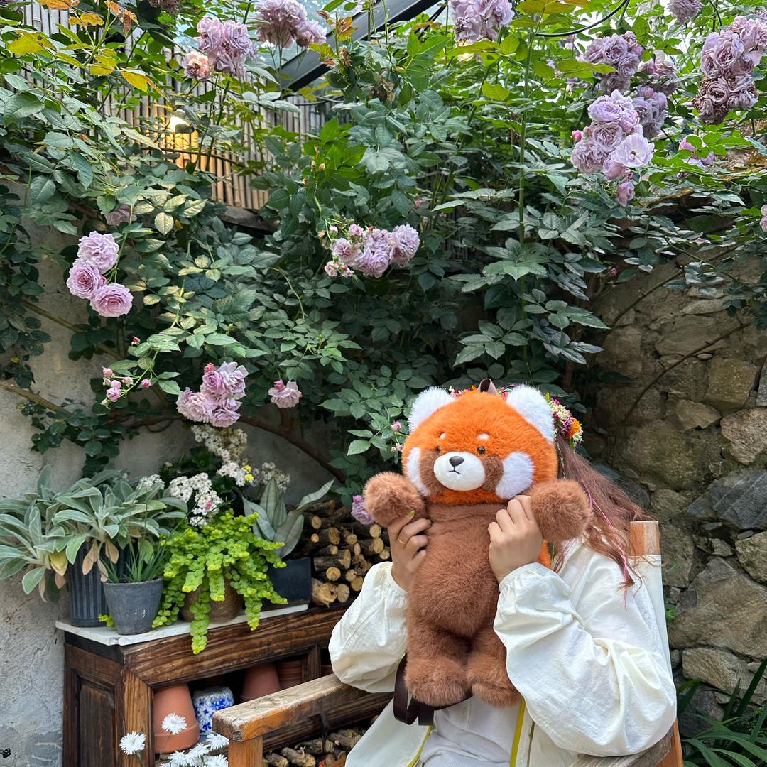 玛丽莲梦中一万粉（求粉ING）