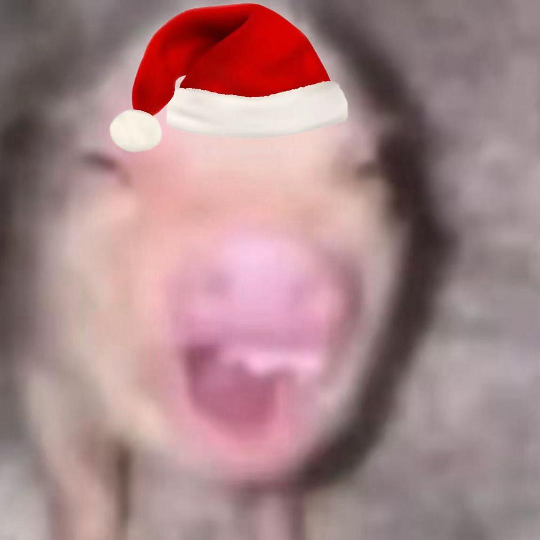 少爷酱（美瞳补货版）