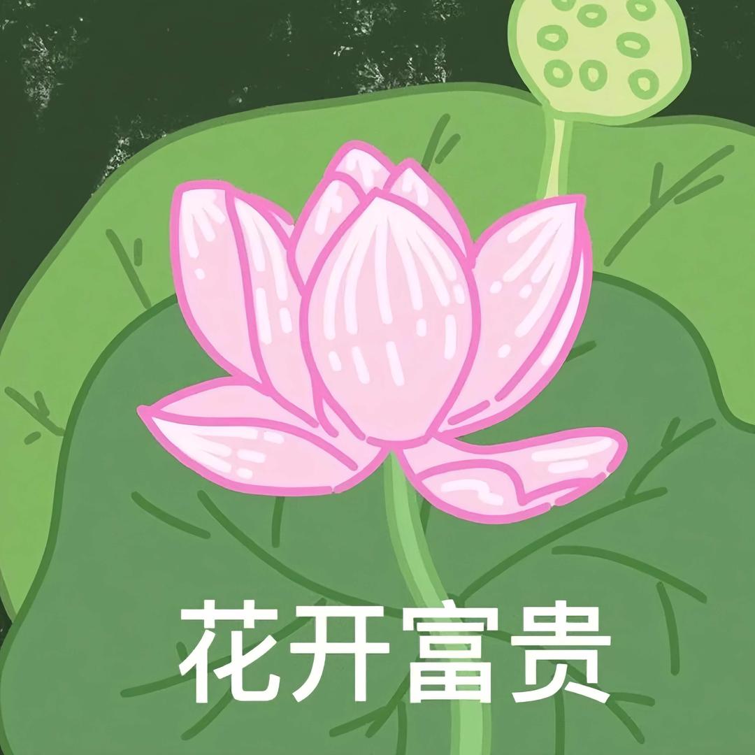 花fit
