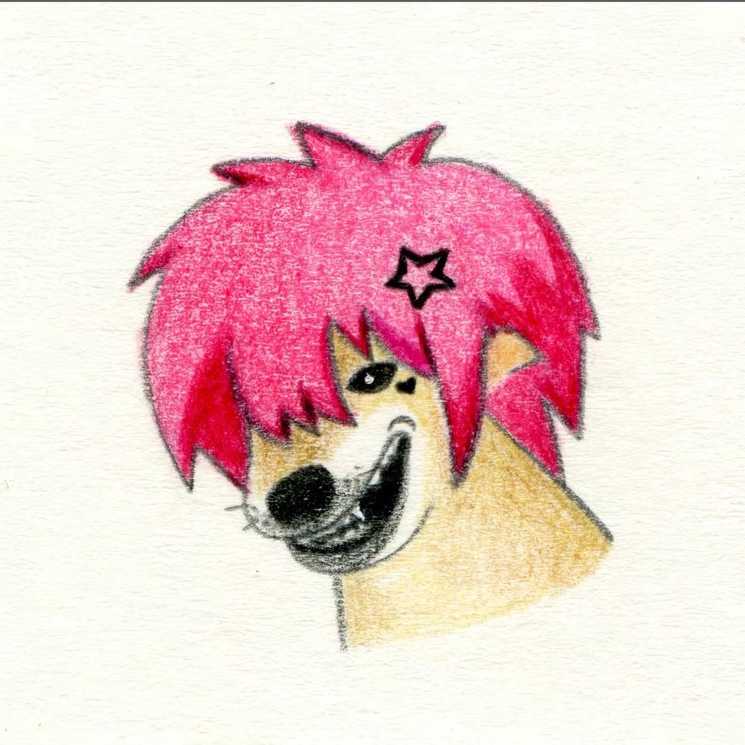 美好人生（减肥版）