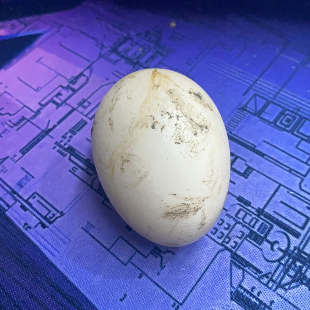 下辈子把地球都刷给你