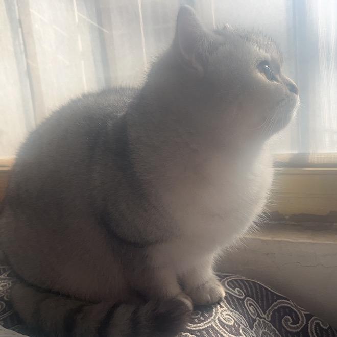 日复一日