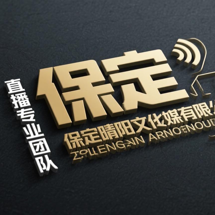 保定晴阳文化传媒有限公司