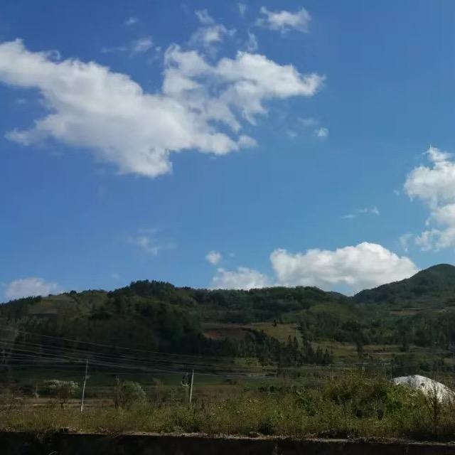 Ou yang