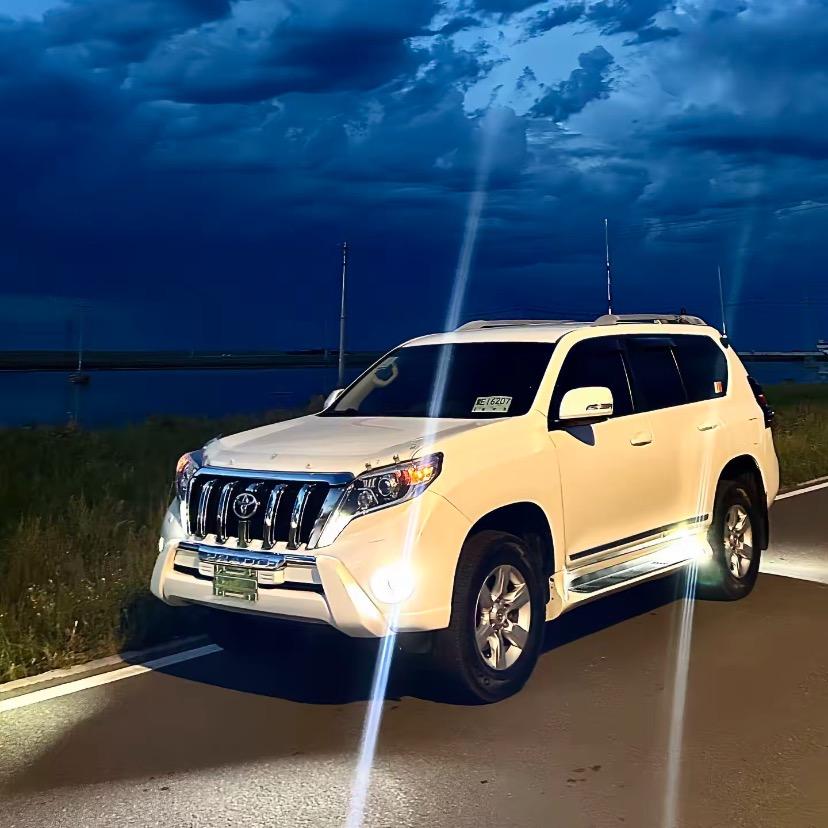 廬擭北极熊Ai带货