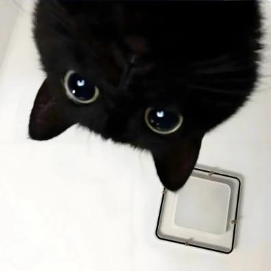 多咪 王者荣耀 （安琪拉大王）