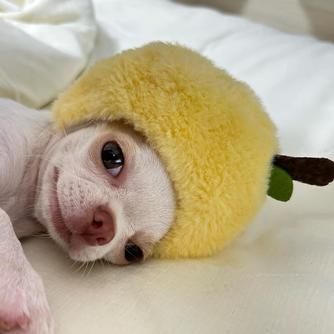止痛药^